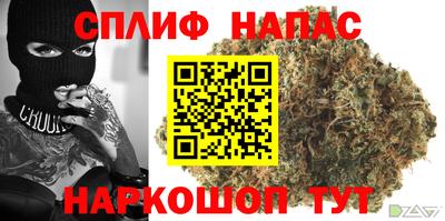 прущие грибы Бузулук